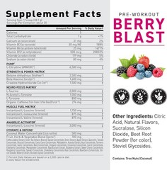 Pre Workout Powder with Creatine & 274mg Organic Caffeine – 20 Servings