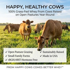 Raw Organic Whey Protein Powder, Grass Fed, Unflavored – 1 Ingredient, No Add…