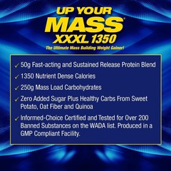 Up Your Mass XXXL 1350 Weight Gainer | 50g Protein, BCAAs, 6lb Milk Chocolate