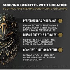 Falcon Performance Vegan Protein Powder, 31G Protein, 5G Creatine, 5G BCAA, Prob