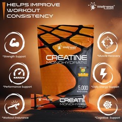 WELLNESS LABSRX Creatine Monohydrate Powder Sachets 300g – Mango Flavor Micro…