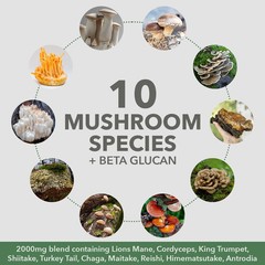 PlantFusion Organic Mushrooms + Protein Creamy Vanilla Bean 15 oz