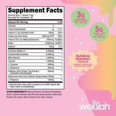 Wellah Pre-Workout + Creatine Powder (30 Servings) Rainbow Sherbert -3g Creatine