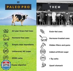 Paleo Pro 26G Beef Protein Powder – Grass Fed Protein Powder Isolate – Pure A