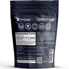 WELLNESS LABSRX Creatine Monohydrate Powder Sachets 300g – Mango Flavor Micro…