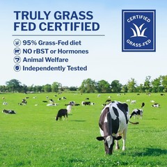 Grass Fed Whey Protein Powder Concentrate – 1 Ingredient – Pure Protein Suppl…