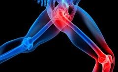 glucosamine supplement, GLUCOSAMINE CHONDROITIN & MSM, reduce joint stiffness 2B