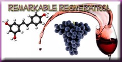 Antioxidant powder – GRAPE SEED EXTRACT – RESVERATROL 1200 COMBO 2B – resveratro