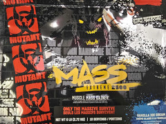 Mass Extreme Gainer Protein Powder – High Calorie Weight Gainer with Whey Protei
