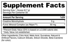 Mango Pineapple Creatine Monohydrate Powder – Easy Mix, Vegetarian, 5G/Serving,
