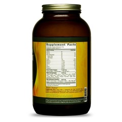 HealthForce SuperFoods Elite Green Protein Mesquite 500g Powder