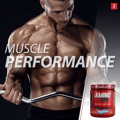 iSatori AMINO-GRO – BCAA’s with Glutamine and Bio-Active Peptides – Blue Razz