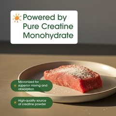 NatureBell Micronized Creatine Monohydrate Powder – 1.1 Pound (Pack of 1)
