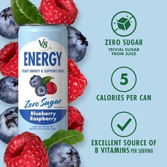 Energy 8 fl. oz. Can (24 Pack of 24 (8 Fl Oz) Zero Sugar Blueberry Raspberry