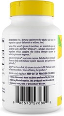 Healthy Immune Support Multivitamin Supplement (60 Caps)