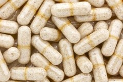 Muscle Support Capsules – Deer Antler Plus 555mg – Elk Antler Velvet 2B