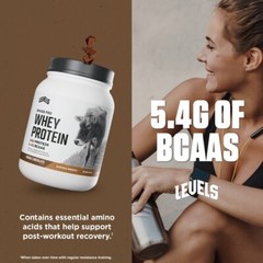 Grass Fed Whey Protein Double Chocolate 24G Protein No Sugar Gluten Free New