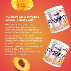 Pre Workout Powder with L Glutamine & Acetyl L Carnitine – Energy Boost Drink, P