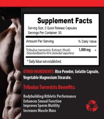 testosterone muscle for men – TRIBULUS MAXIMUM 3B 300CAPS – supplements for men