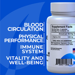 CREATINE & L-ARGININE 120 Capsules – Support Performance and strength in trainin
