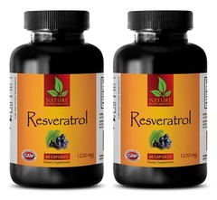 metabolism – RESVERATROL 1200MG – resveratrol mg 2B
