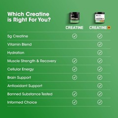 Optimum Nutrition Creatine Monohydrate Plus Powder, Orange Passionfruit Flavored