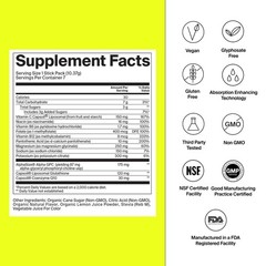 The Absorption Company Electrolyte Powder Packets – Workout Recovery Hydration