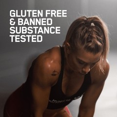 Optimum Nutrition Gold Standard 100%