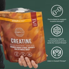 Primal Harvest Creatine Powder Supplement for Men and 13.7 Ounce (Pack of 1)