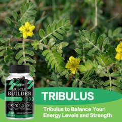 Muscle Builder With Tribulus Ashwagandha Muscle Strength Performance Endurance