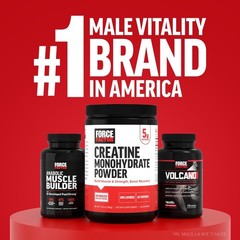 Test X180 PM Testosterone Booster Men Sleep Support Muscle Recovery 120 Tablets
