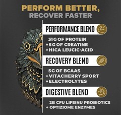 Falcon Vegan Protein Powder 31g Protein BCAA Creatine Vanilla 19 Servings