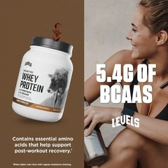 Grass Fed Whey Protein Powder Double Chocolate 24G Protein No Artificials 1.48LB