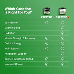 Optimum Nutrition creatine micronized creatine monohydrate power 5g per Serving,