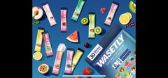 WASETLY Electrolyte Hydration Powder Sugar Free 30 Sticks Variety Flavors