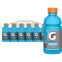 Pack of Frost Thirst Quencher – 12 Fl Oz Cool Blue Bottles for Instant Hydration