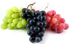 resveratrol from grapes – PURE RESVERATROL 1200MG 2B – antioxidant complex