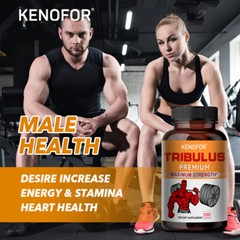 Tribulus – Male Food Supplement Maximum Strength 120 Capsules