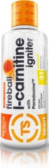 Top Secret Nutrition Fireball Liquid L-Carnitine Igniter -CHOOSE FLAVOR -16 oz
