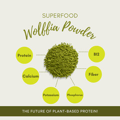 Wolffia Globosa Powder Plant-Based Superfood | High Protein | B12 – Ship from CA