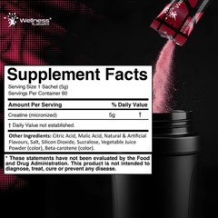 WELLNESS LABSRX Creatine Monohydrate Powder Sachets 300g – Fruit Punch Flavor…