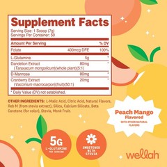 Wellah L-Glutamine Peach Mango (50 Servings) – 5g L-Glutamine Per Serving, Sweet