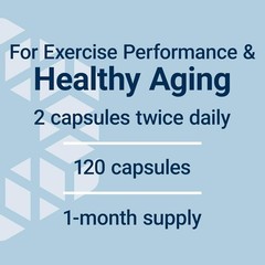 Creatine Monohydrate 120 Capsules – Boosts Strength, Endurance & Muscle Health