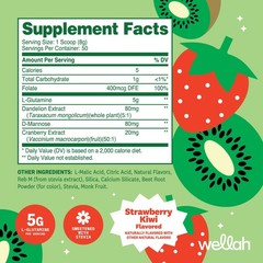 Wellah L-Glutamine Strawberry Kiwi Powder (50 Servings) – 5g L-Glutamine