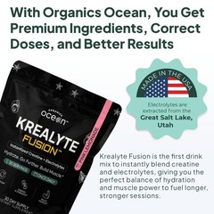 Organics Ocean Krealyte Fusion – Instantized Creatine 9.17 Ounce (Pack of 1)