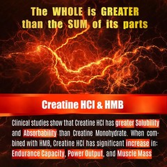 Creatine HCL Capsules with HMB – Workout Supplement for 180 Count (Pack of 1)