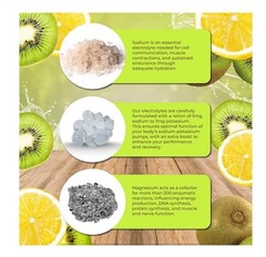 Santa Cruz Paleo Kiwi Lemonade Electrolytes Powder Sugar-Free 30 Servings 5.7oz