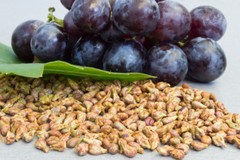 Immune vitamin c – GRAPE SEED EXTRACT – ANTI GRAY HAIR COMBO – coenzyme q10