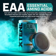 Mango XTEND EAA + BCAA Supplement – 10g EAAs, 40 Servings for Lean Muscle Growth