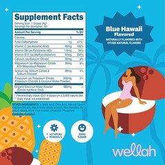 Wellah Electrolytes Powder (Blue Hawaii) 50 Servings – Hydration Drink Mix